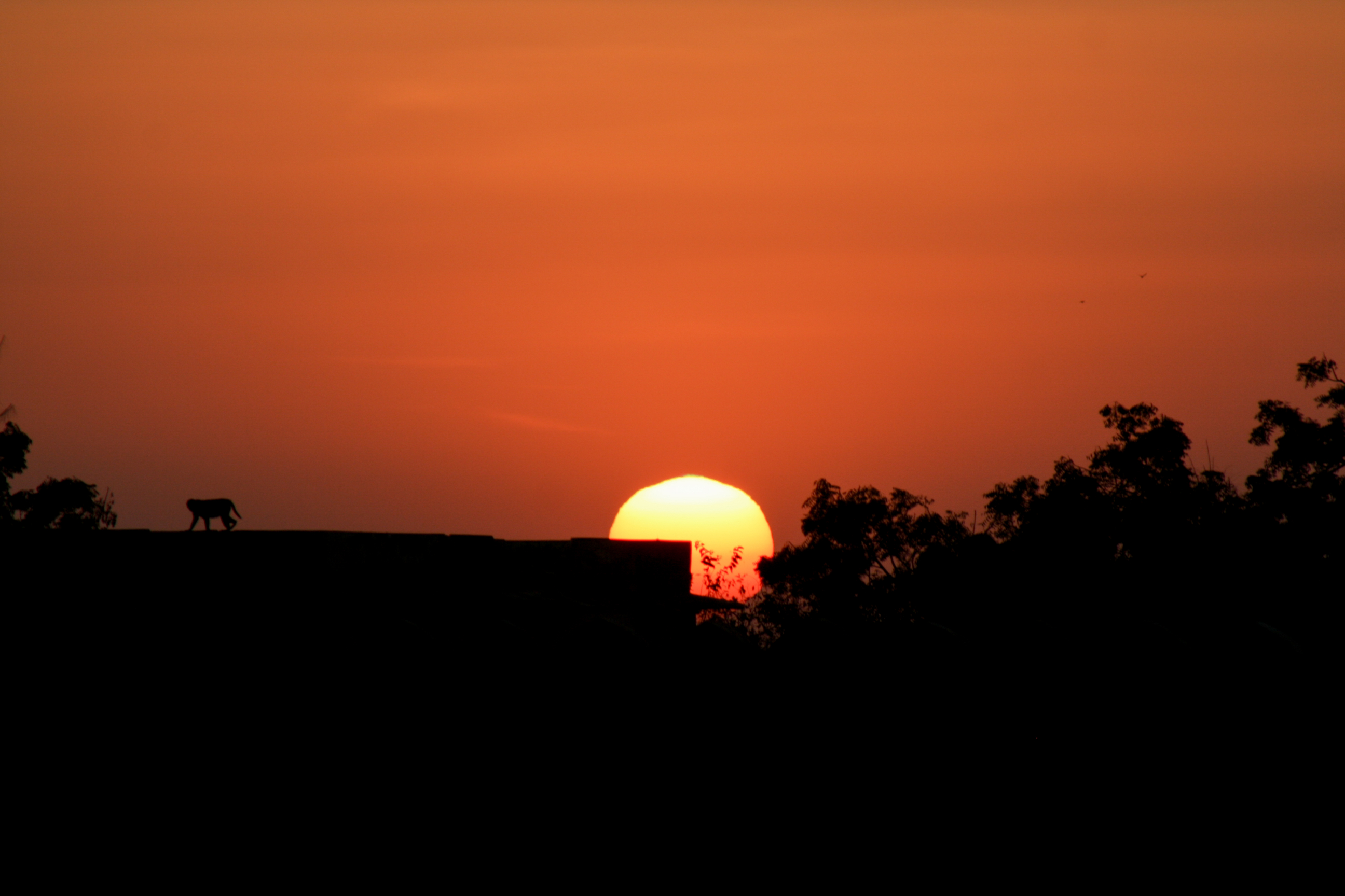 apda-IMG 6959 XS (1)